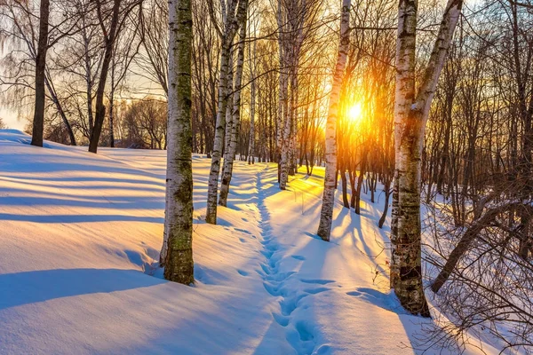 Farbenfroher Wintersonnenuntergang — Stockfoto