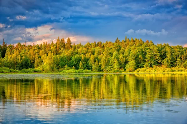 Orman göl kenarında güzel gün batımı — Stok fotoğraf