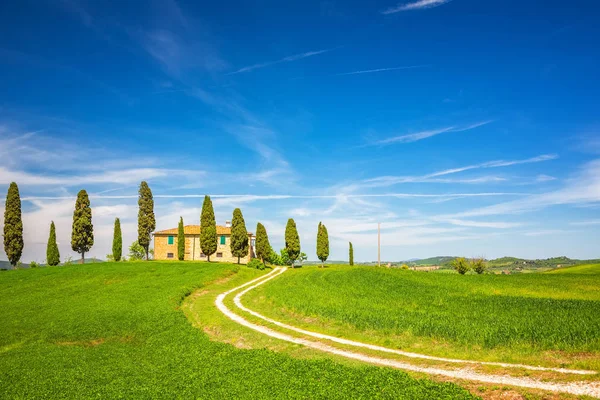 Voorjaarslandschap Toscane — Stockfoto