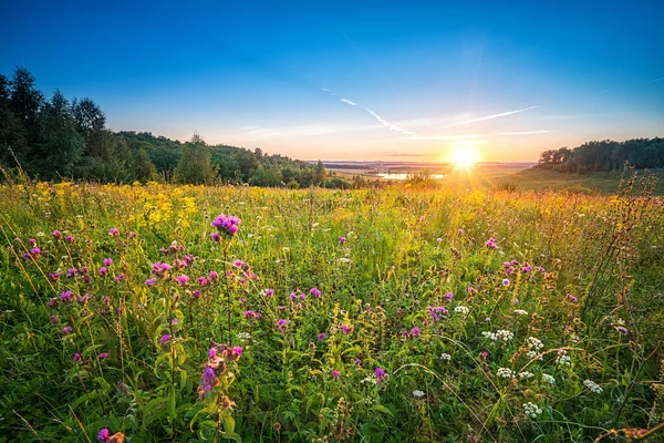 Sunset in a countryside — Stock Photo, Image
