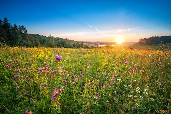 Sunset in a countryside — Stock Image Sunset in a countryside Stock Image