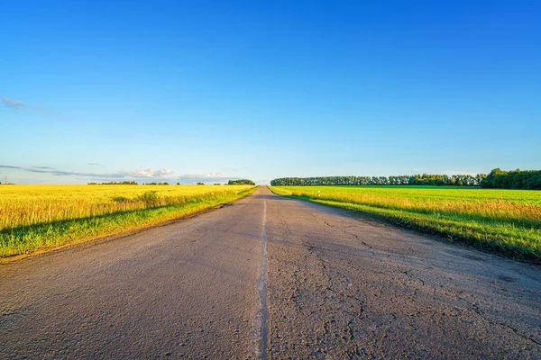 Driveway bir kırsal kesimde — Stok fotoğraf