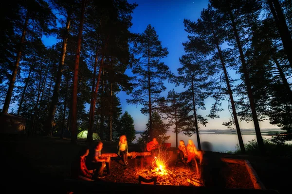 Friends in forest near bonfire at campsite. Group of people under night sky with stars enjoy nature holidays at camping place.