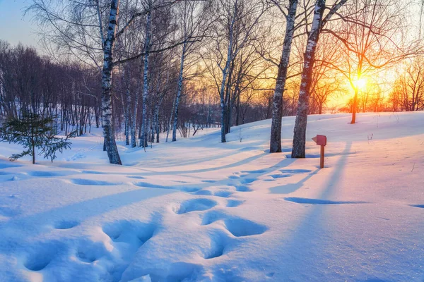 Цветной зимний закат — стоковое фото