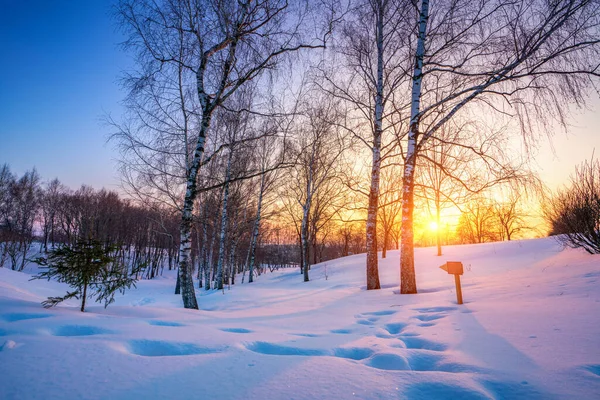 Farbenfroher Wintersonnenuntergang — Stockfoto
