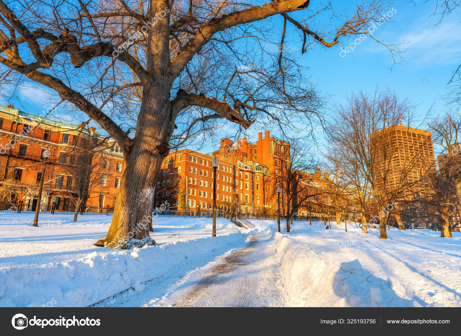 冬によくあるボストン ストック写真 C Sborisov