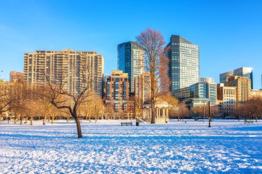 Boston common at winter clipart