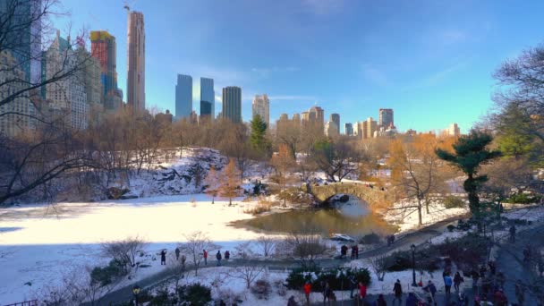 ΝΕΑ ΥΟΡΚΗ - 10 Ιανουαρίου 2018: Οι άνθρωποι απολαμβάνουν ηλιόλουστη μέρα του χειμώνα στο κεντρικό πάρκο της Νέας Υόρκης — Αρχείο Βίντεο