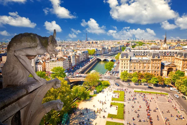 Notre Dame Katedrali 'ndeki Gargoyle, Paris — Stok fotoğraf