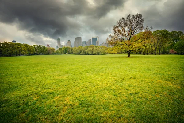 NY Central park op regenachtige dag — Stockfoto