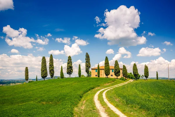 Toscana vårlandskap — Stockfoto