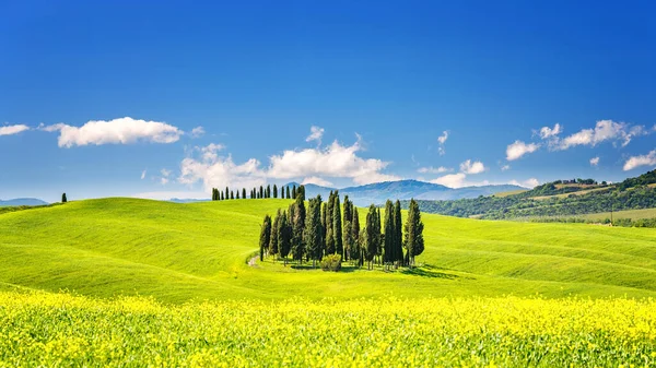 Toscana in primavera — Foto Stock