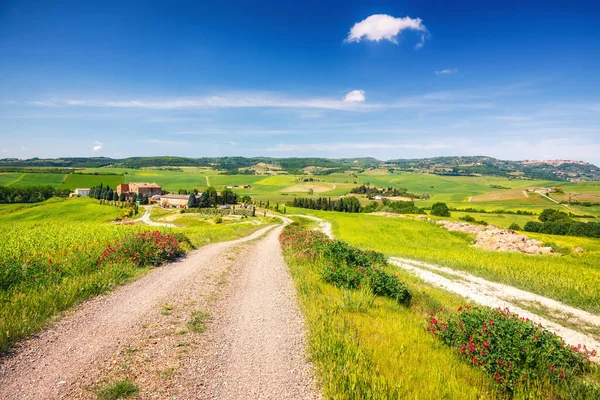 Paesaggio primaverile toscano — Foto Stock