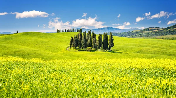 Toscane au printemps — Photo