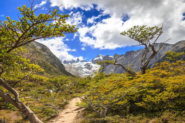 Excursión Paseo Bosques Ushuaia — Foto de Stock