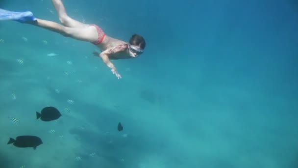 Çocuk suyun altında yüzüyor. — Stok video