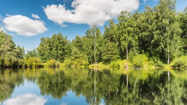 Vijver met eenden in het bos onder de wolken. — Stockvideo