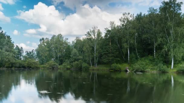 Озерний пейзаж з літаючими хмарами — стокове відео