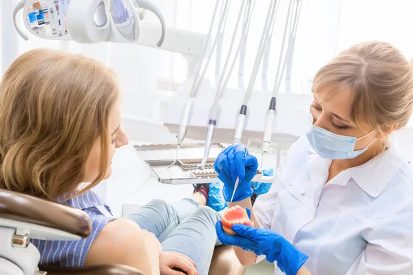 Стоматолог демонстрирует модельные зубы — стоковое фото