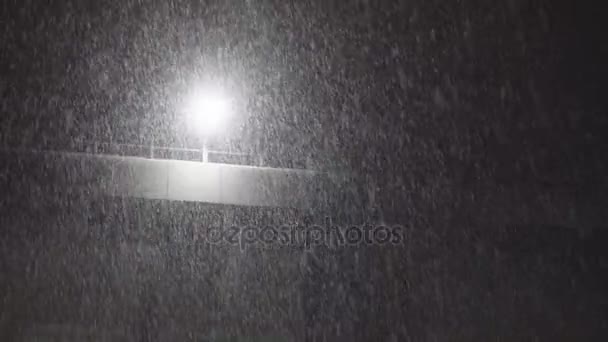 Spadający śnieg w nocy — Wideo stockowe