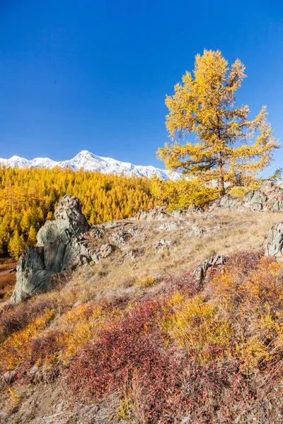 Fall in Mountains. Landscape panorama. — Stock Photo, Image