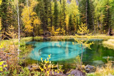 Amazing Blue Geyser Lake in the Mountains of Altai, Siberi clipart