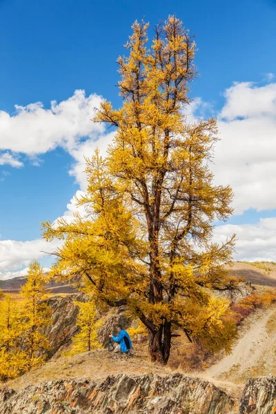 Fotógrafo Tirando Fotos Montanhas Sob Lariço Amarelo — Fotografia de Stock