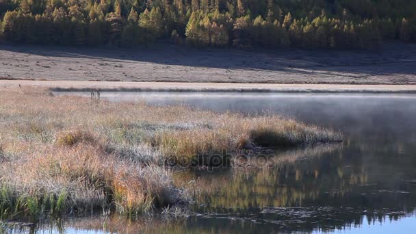 Mlha Časných Ranních Hodinách Horské Jezero Altaj Rusko — Stock video