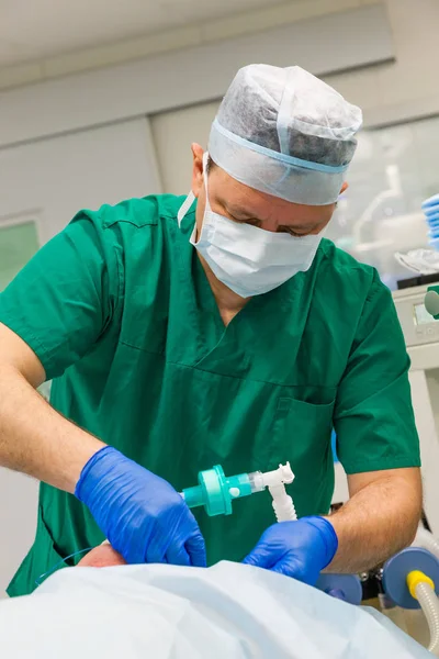 Anesthesiologist working in operation room — Stock Photo, Image