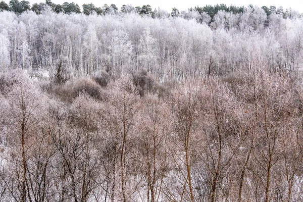 Winterwald Blick Von Oben — Stockfoto