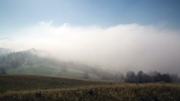 Foggy Morning with Mystic Sunrise in Mountains Time Lapse — Stock Video