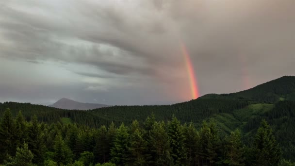 Rainbow over forest time lapse (en inglés). Cielo tras lluvia — Vídeos de Stock