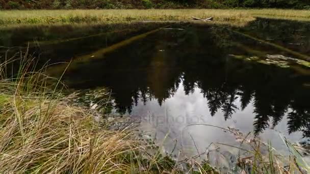 Odrazem oblohy a lesa v kouzelný rybník času zanikla dolly zastřelil — Stock video