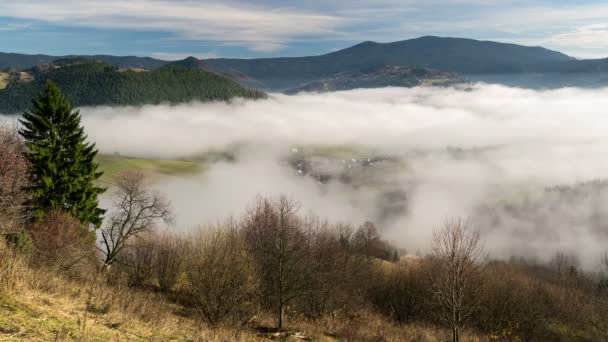 Foggy morning in small village in autumn time lapse — Stock Video