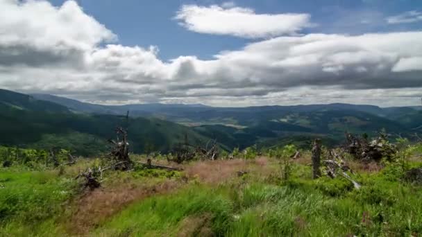 Witte wolken vliegen over groene landschap time-lapse — Stockvideo