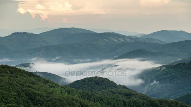 在绿色森林山谷时间流逝中移动的云层之上有雾的晚上 — 图库视频影像