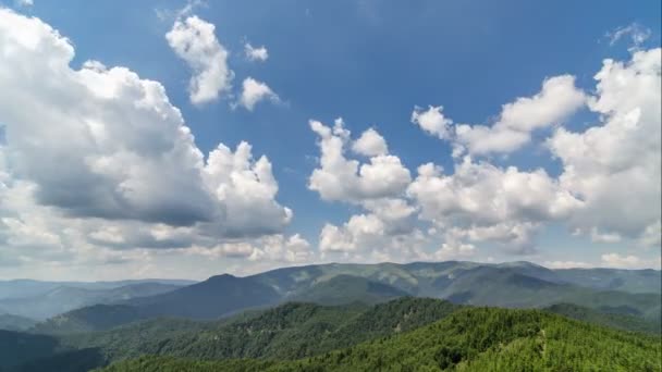 Witte wolken, torenhoog boven de blauwe hemel en groen bos landschap time-lapse — Stockvideo