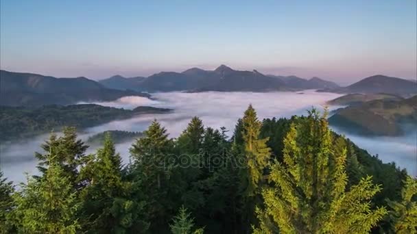 Sunrise Mist Morning over Forest and Foggy Mountain Valley Time Lapse (em inglês). Árvores e nevoeiro movendo-se no vento. Veiw aérea Dolly Shot . — Vídeo de Stock