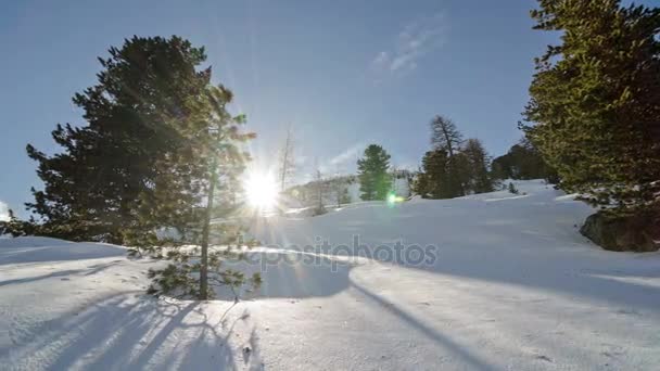 Vinter solnedgång över träd och Snowy Hill Time Lapse Dolly skott — Stockvideo