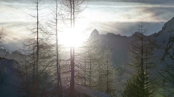 Pôr do sol de inverno sobre árvores florestais Silhueta em Alpes nevados Montanhas Time Lapse. Pan da esquerda para a direita — Vídeo de Stock