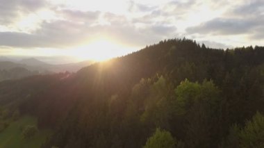 Gün batımında yeşil orman üzerinden hava görünüm. Akşam uçuş rüzgarda sallayarak ağaçlar yukarıda