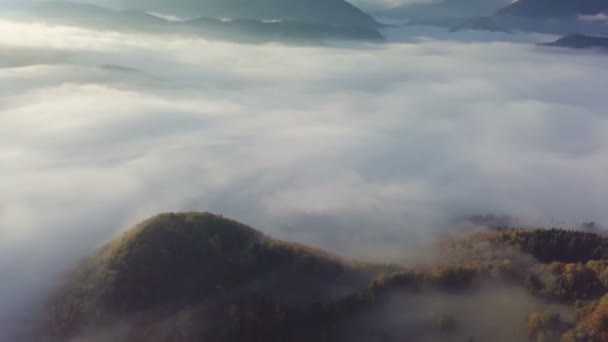 Vuelo Matutino Sobre Paisaje Brumoso Otoño Inclinación Hacia Arriba Lapso — Vídeo de stock