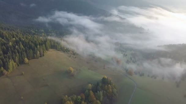 Flygfoto Över Dimmig Morgon Höst Land Vid Soluppgången Drone Flyg — Stockvideo