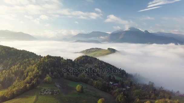 農村国のカラフルな秋の朝の霧の風景を航空着陸 — ストック動画