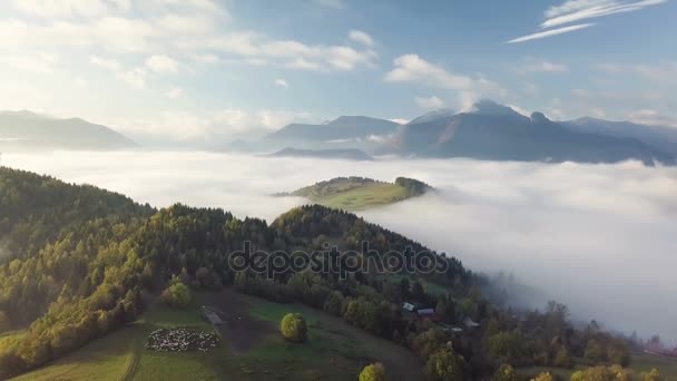 Aerial Landning Över Dimmigt Landskap Färgglad Höst Morgon Landsbygdens Land — Stockvideo