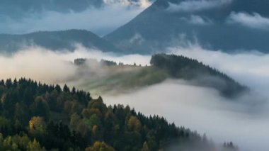 Sisli bulutlar orman ülke vadi peyzaj zaman atlamalı dalga 