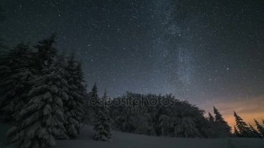 Noel kış gece manzarası ile karlı ağaçların üzerinden hareketli yıldızlar gök. Astronomi zaman atlamalı Yakınlaştır