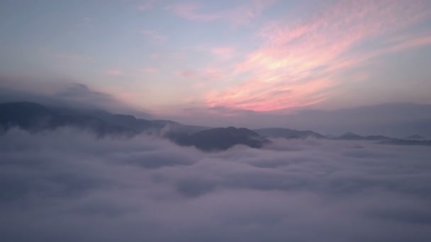 Panoramische Vlucht Boven Wolken Zomerochtend — Stockvideo