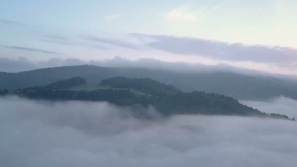 Ochtend Vlucht Boven Mistige Wolken — Stockvideo