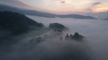Sabah Sunrise sisli ormanın havadan görünümü
